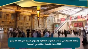 ارتفاع ملحوظ في أوقات قطارات القاهرة وأسوان اليوم الأربعاء 30 يوليو 2025.. هل تتحقق رحلتك في الموعد؟